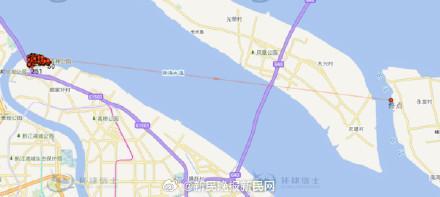 上海调皮獐出逃从浦东游到崇明 越狱獐子的奇妙旅程