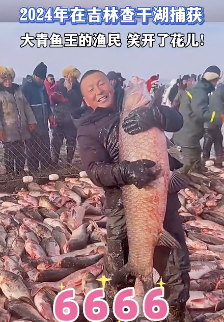 渔民捕获大青鱼王笑开花