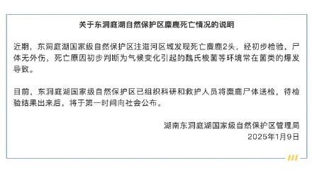 官方通报东洞庭湖发现两头死亡麋鹿