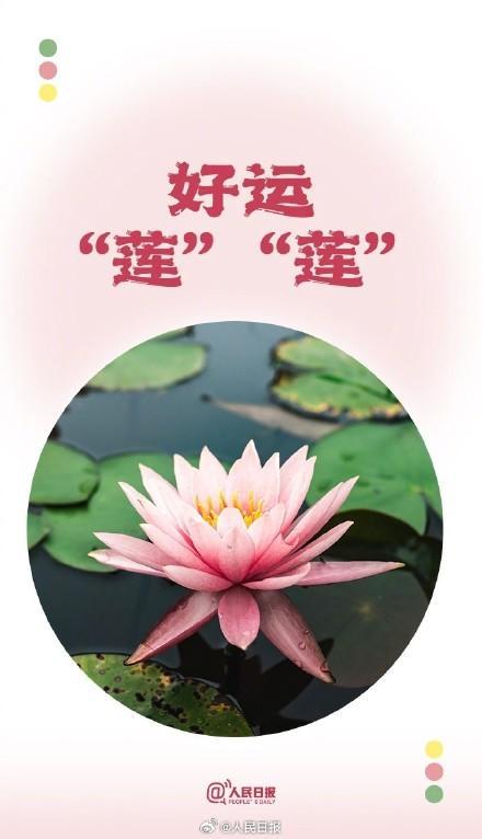 端午节后上班第1天！你有一份夏日谐音祝福待查收