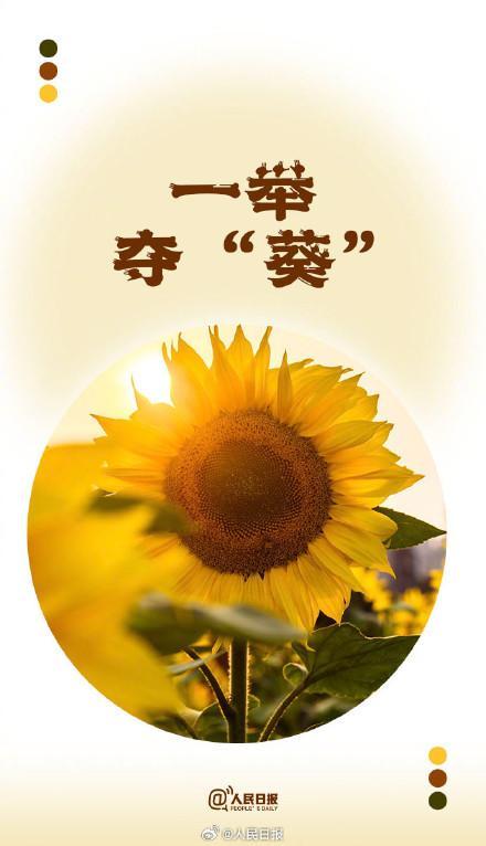 端午節(jié)后上班第1天！你有一份夏日諧音祝福待查收