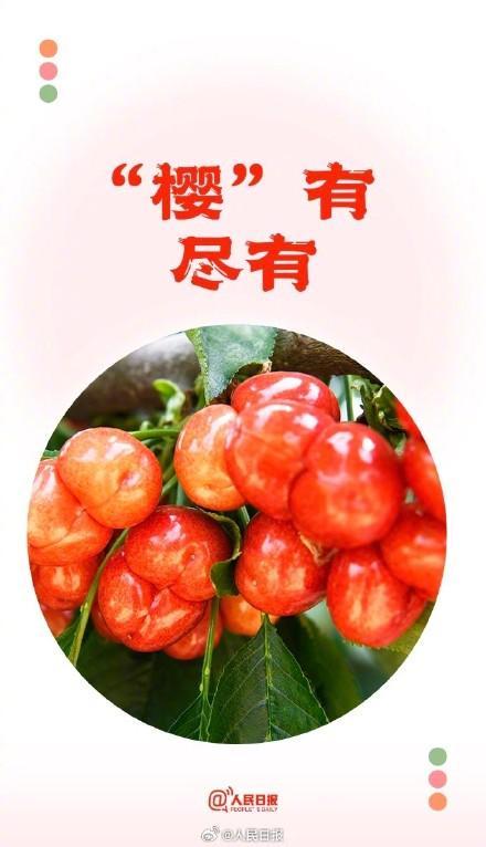 端午节后上班第1天！你有一份夏日谐音祝福待查收