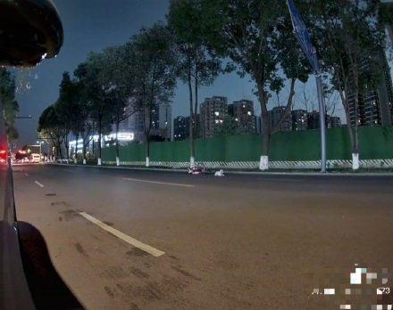 女子被狗絆倒致骨折 認定狗主人全責 雙方協(xié)商賠償事宜