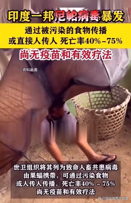 泰国加强对来自印度游客的健康监测 应对尼帕病毒威胁