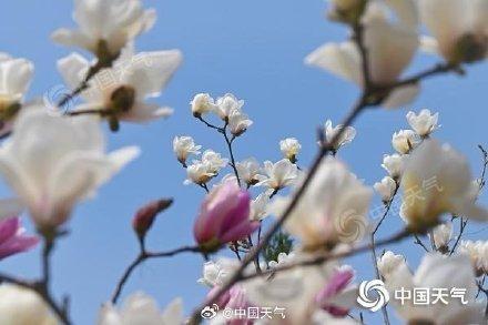 今天北京云量增多有阵雨 明天阳光在线暖意足需注意防风