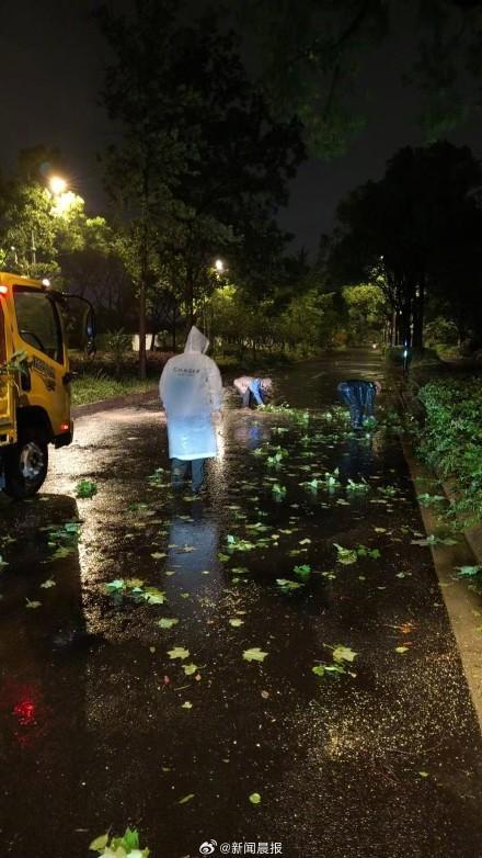 上海300多株倒伏树木一夜清零 绿化市容队伍高效处置