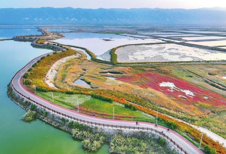 运城市盐湖区鸭子池湿地公园成为市民休闲娱乐的好去处