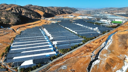 设施农业集约化布局 绘就乡村振兴新图景