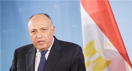 埃及支持南非起诉以色列 呼吁加沙停火