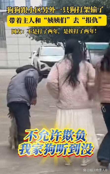 狗狗打架输了带主东说念主去报仇 狗界酬酢战高东说念主