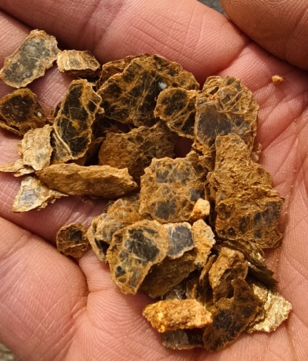 大连8岁男孩疑发现金矿后续 好奇心引领探索