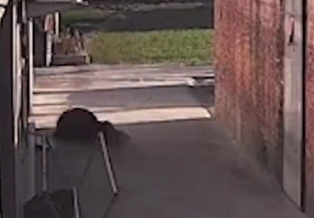 女子喝豆浆后上吐下泻，引发关注热议