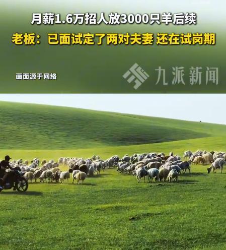 月薪1.6万放羊已有两对夫妻上岗