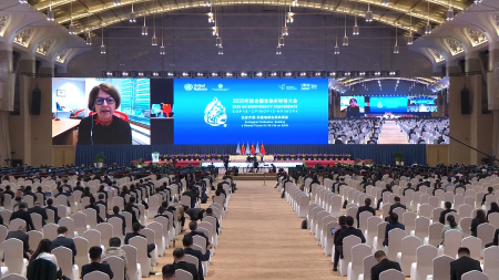 COP15: „Kunming-Deklaration“ angenommen