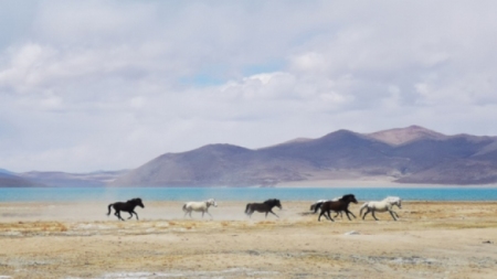 China wird neue Nationalparks auf dem Qinghai-Tibet-Plateau einrichten