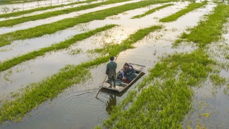 Xuyi: Flusskrebsgeschäft wird große Industrie