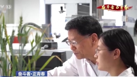 Junges chinesisches Wissenschaftlerteam entdeckt Gen für Resistenz gegen Weizenschorf