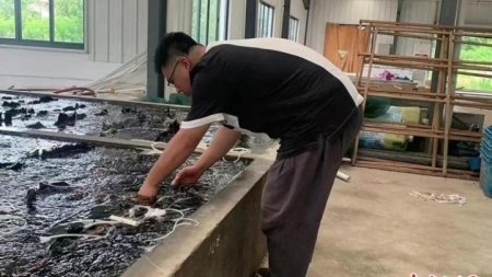 Fei Chenyang – Ein 27-Jähriger gestaltet die Fischerei- und Wasserkulturindustrie in Huzhou um