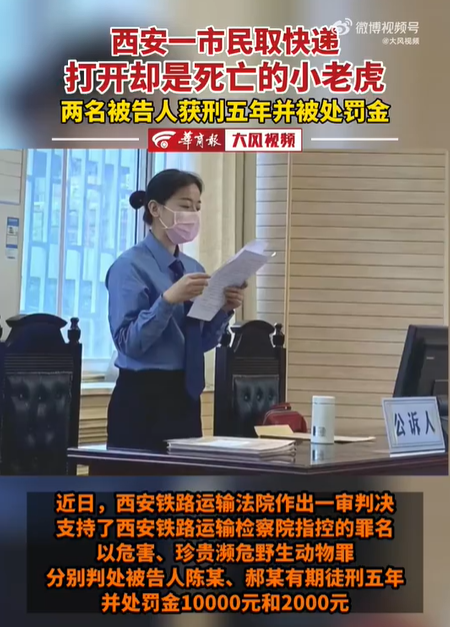 取快递收到死亡小老虎 2被告人获刑5年并处罚金10000元和2000元