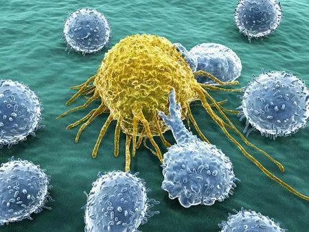 “酸”是癌症的重要帮凶！《细胞》论文解开肿瘤嗜酸如命的谜团