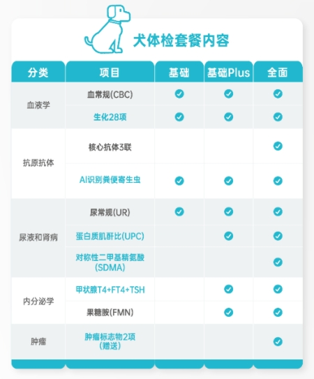 网传长期养猫会患疯猫病医生辟谣 宠物健康体检重要性解析