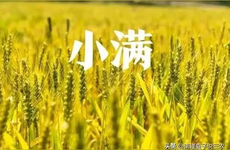 2025夏季有大澇嗎,？小滿節(jié)氣一過，雨水明顯就多了