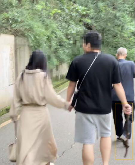 警方回應(yīng)男子持棍打傷黔靈山獼猴 游客目睹痛心一幕