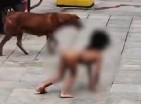 野人小孩的困境怎么打破？自然教育不等于野性生長