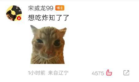 宋威龙抓住了他的夏天,宋威龙徒手抓知了