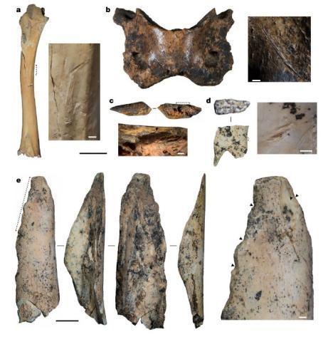 Nature研究揭秘：青藏高原上4万年前的神秘古人类是怎样生活的？探索丹尼索瓦人的高原生存之道