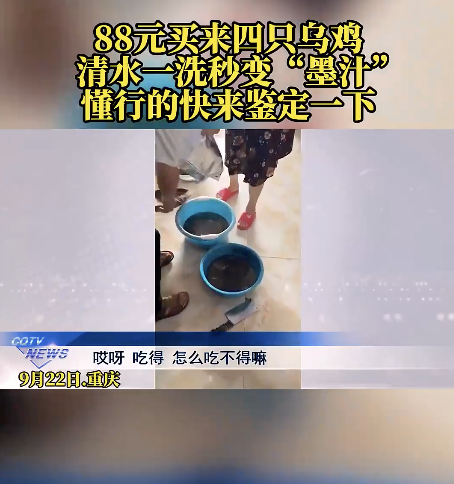 网购4只乌鸡洗出一盆黑水 食品 safety引热议