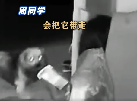 去世爺爺養(yǎng)的小狗凌晨跑3公里找主人只為見女生一面