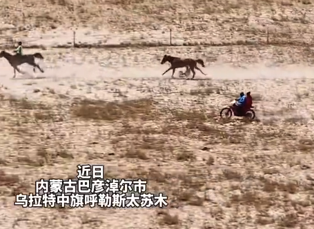 骑手赛马途中落马 马儿依旧狂奔强势赶超