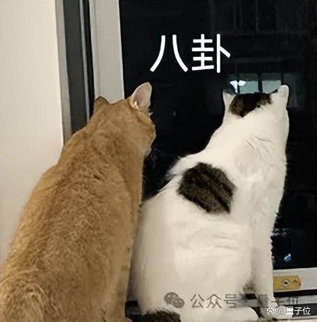 王自如談豆包手機(jī) 首批3萬(wàn)臺(tái)售罄引發(fā)熱議