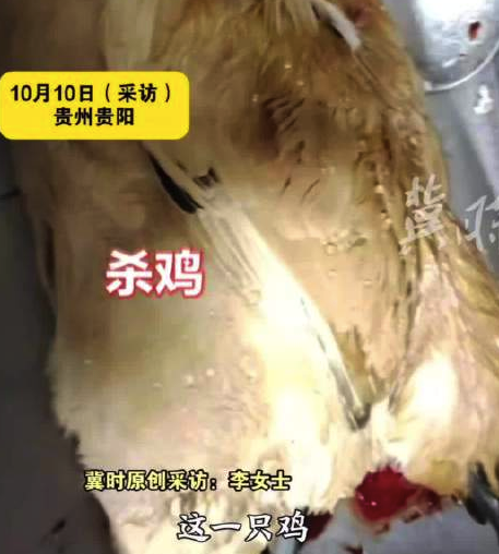 因公鸡打鸣遭邻居投诉 被宰后靠云南白药续命 