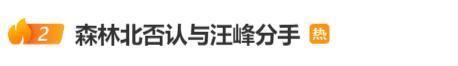 森林北否认与汪峰分手