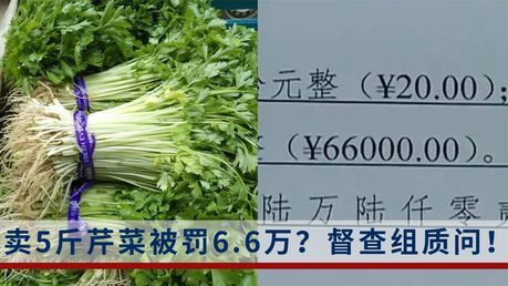 賣5斤芹菜被罰6.6萬?代表委員建言 整治趨利性執(zhí)法亂象