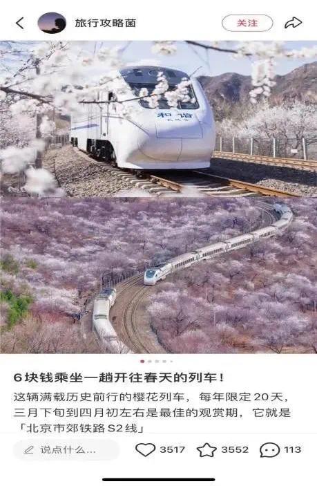 春风何处不归来