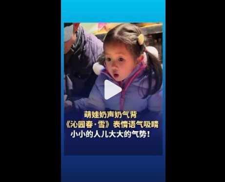 萌娃背沁园春雪威望皆备 嘲谑 “小小年岁,气场两米八”