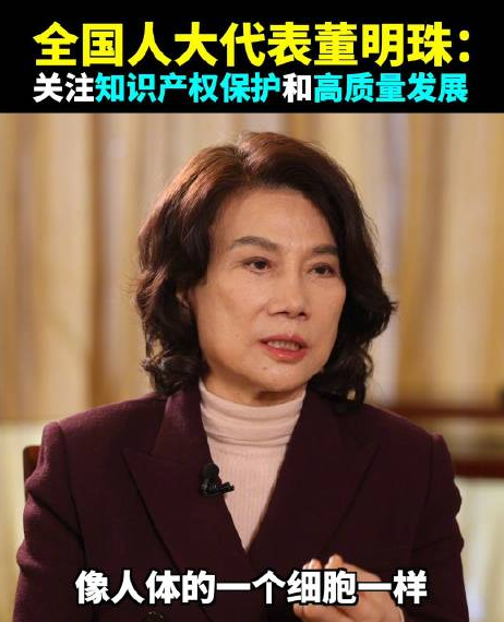 董明珠建议关注知识产权保护和高质量发展，设立知识产权法院