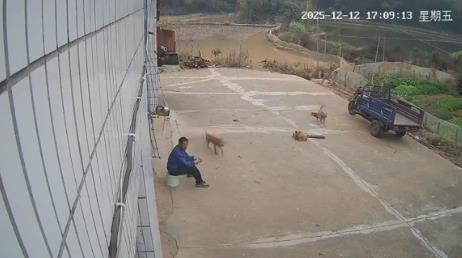 警方通报老人坐门口吃橘子被打倒 打人者短暂释放引争议