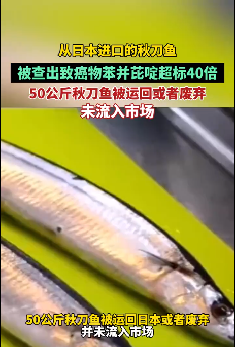 致癌物苯并芘啶超标40倍，台湾海关拦截日本进口秋刀鱼