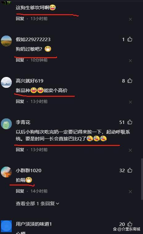 出生2天的小奶狗吃完奶就发硬 人工呼吸成救命关键