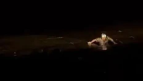 林俊杰演唱会突发意外情况 伴舞摔下升降台