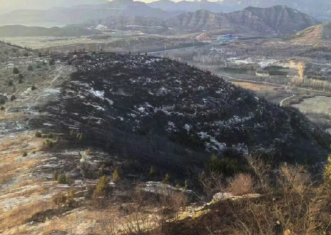 一男子祭祀引发火灾 获刑8个月