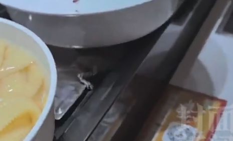 北京一自助火鍋店出現(xiàn)老鼠 視頻引發(fā)廣泛關(guān)注