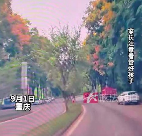 路边突然窜出小孩，司机紧急刹停发现家长在树上 