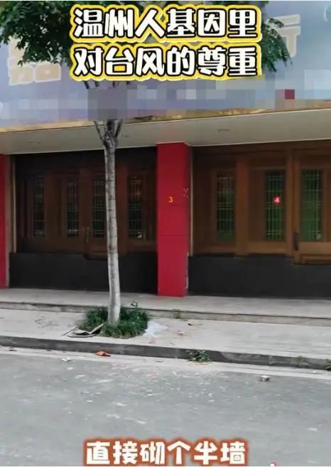 温州老板硬核防台风 商户砌墙抵御