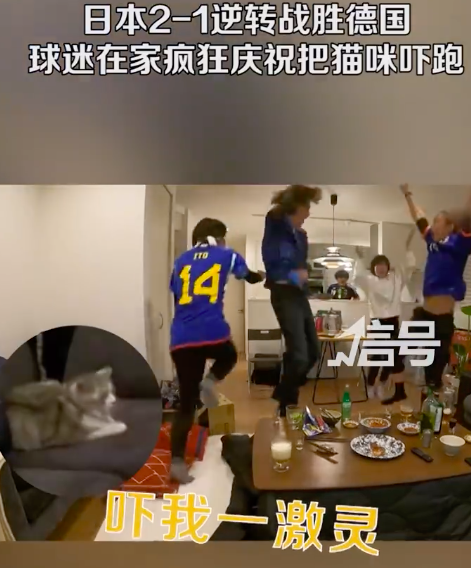 日本球迷在家疯狂庆祝吓跑猫咪