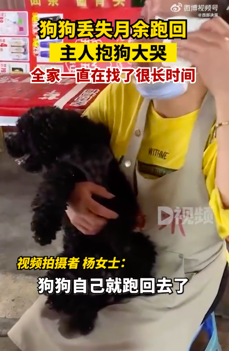 狗狗丢失月余跑回主人抱狗大哭